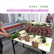 鲜花自动打包处理流水线