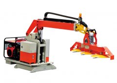 绿篱该怎样进行修剪